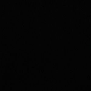 Meet your Posher, Joselin